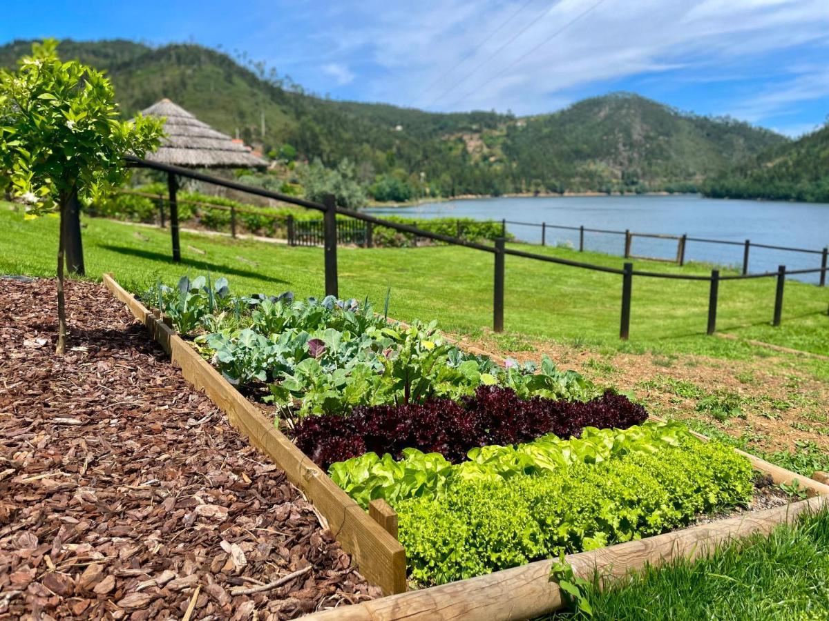 Campos River House Figueiro Dos Vinhos Buitenkant foto